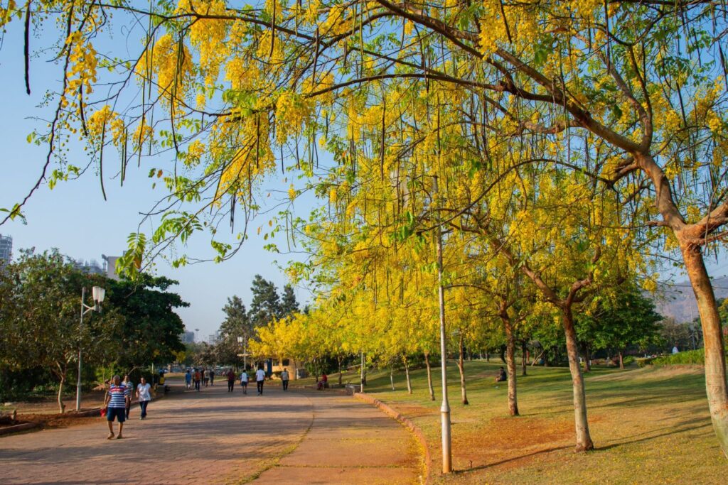 central park ghansoli sector 3 ghansoli navi mumbai maharashtra