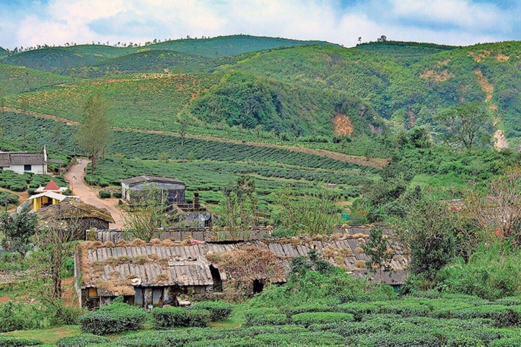 How to Reach Sathram View Point 3 Kerala sathram view point 3