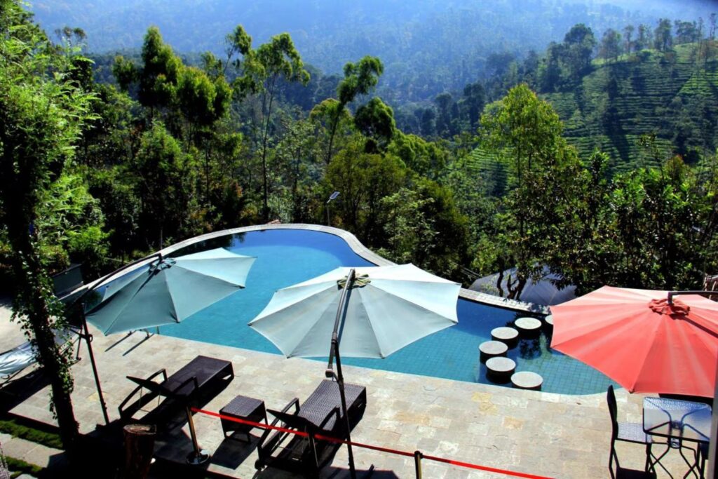 y3 resort wayanad