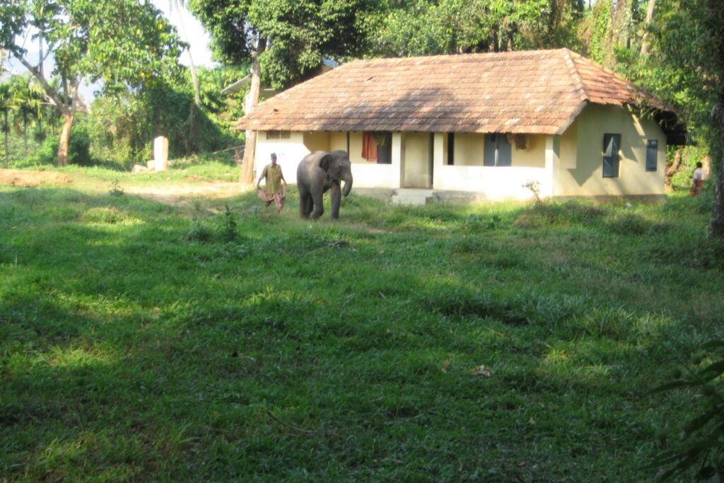 How to Reach Kodanad Village Kerala 683544 kodanad village kerala 683544